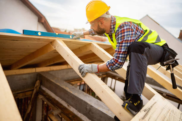 Best Roof Gutter Cleaning  in South Fulton, GA
